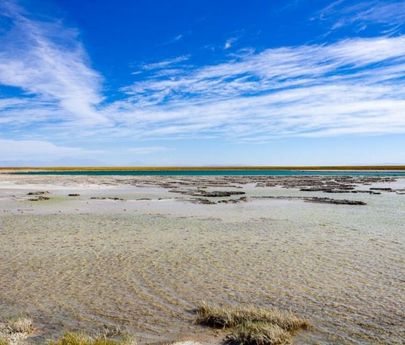 LAGUNA CEJAR + OJOS DEL SALAR