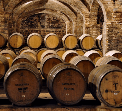 VINÍCOLA SANTA RITA (TOUR SELECCIÓN)